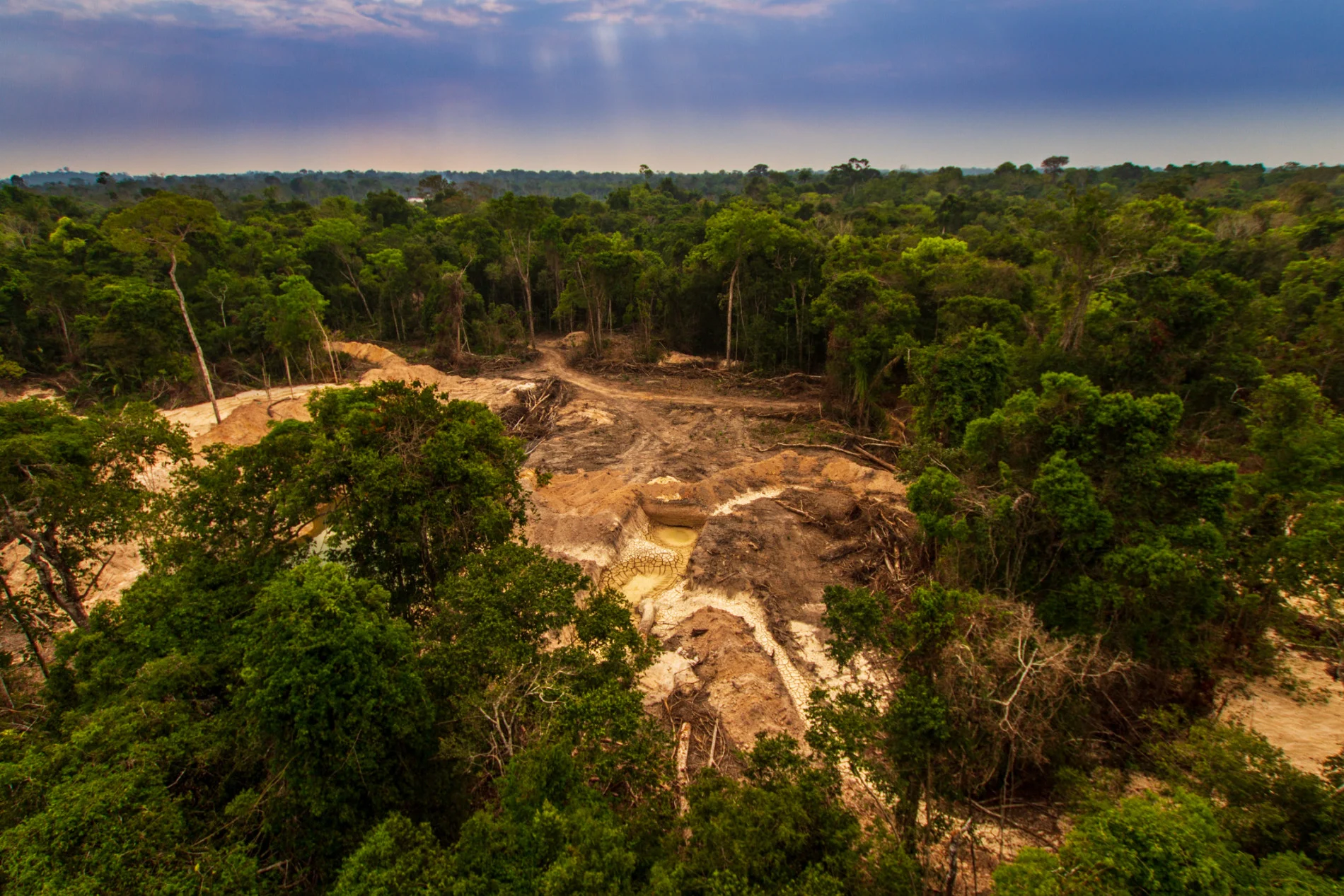 deforestation amazon rainforest Credit: Marcio Isensee e Sa. iStock / Getty Images Plus