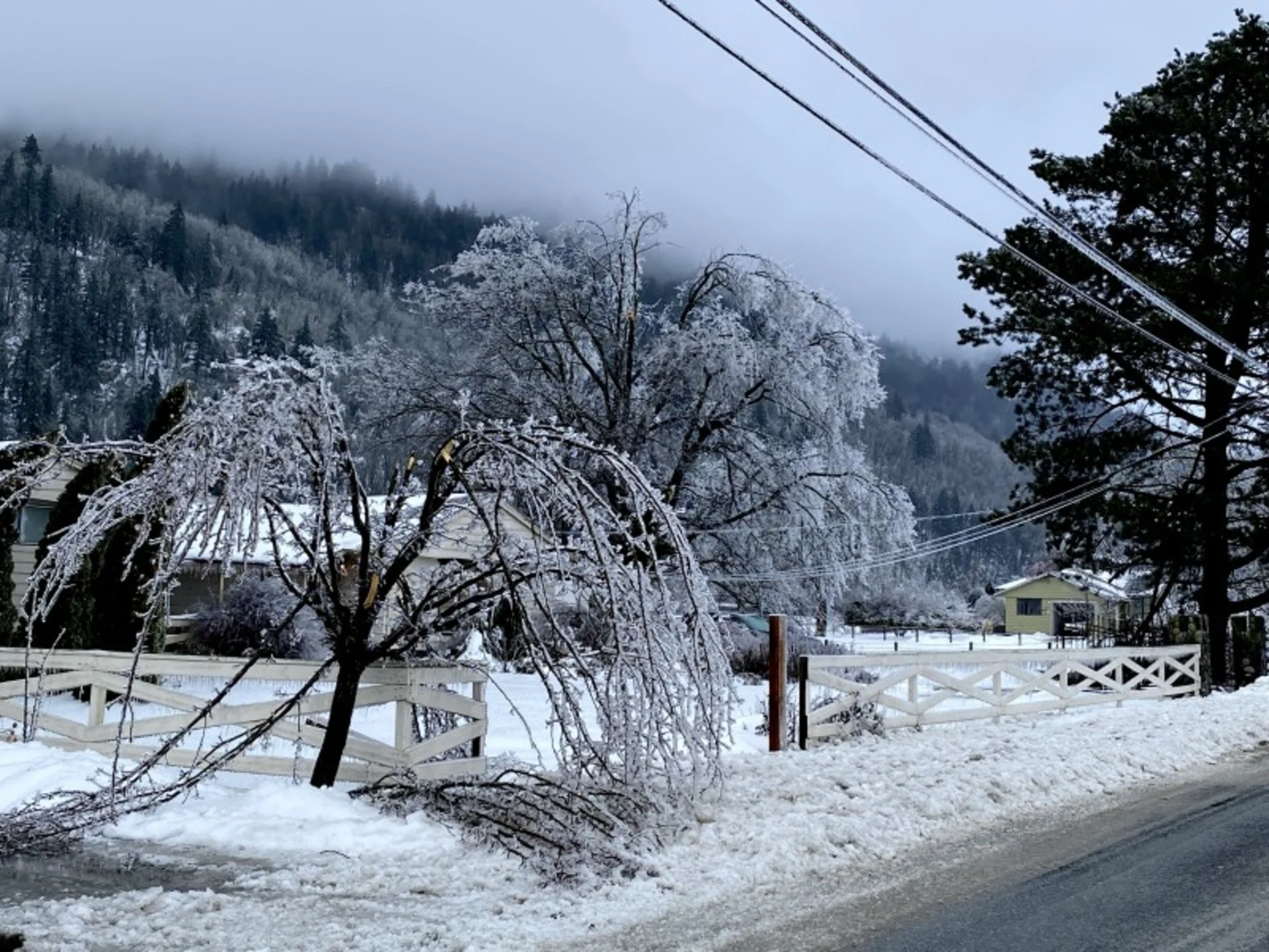 PHOTOS: Brutal ice storm, epic storm surge deal major winter blow to B.C.