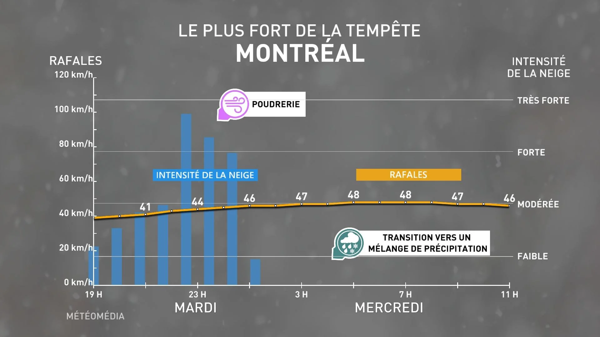 MTL3