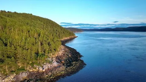 fjord