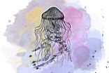 Experts encourage eating jellyfish to curb population explosion in Mediterranean