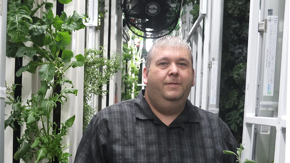 How vertical indoor farming can reduce water use by up to 98%