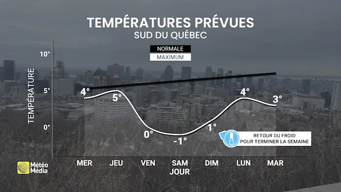 FROID 4