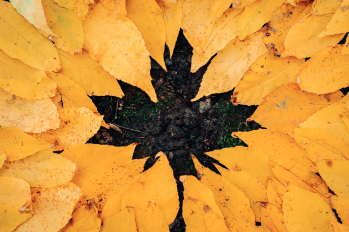 Vos images des plus belles couleurs d'automne au Québec
