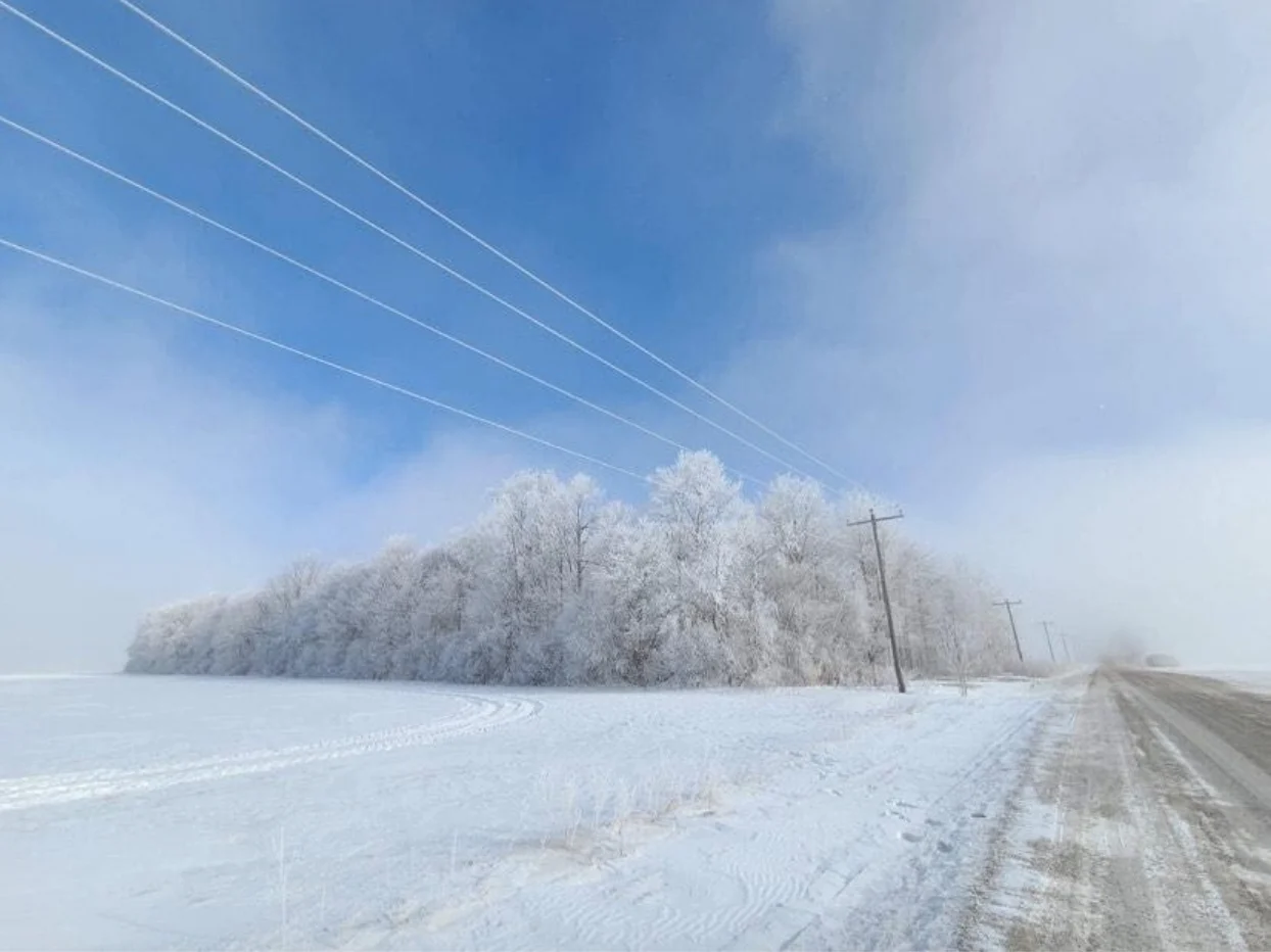 Rime Ice: David Piano (@ONwxchaser) - submitted via Mark Robinson