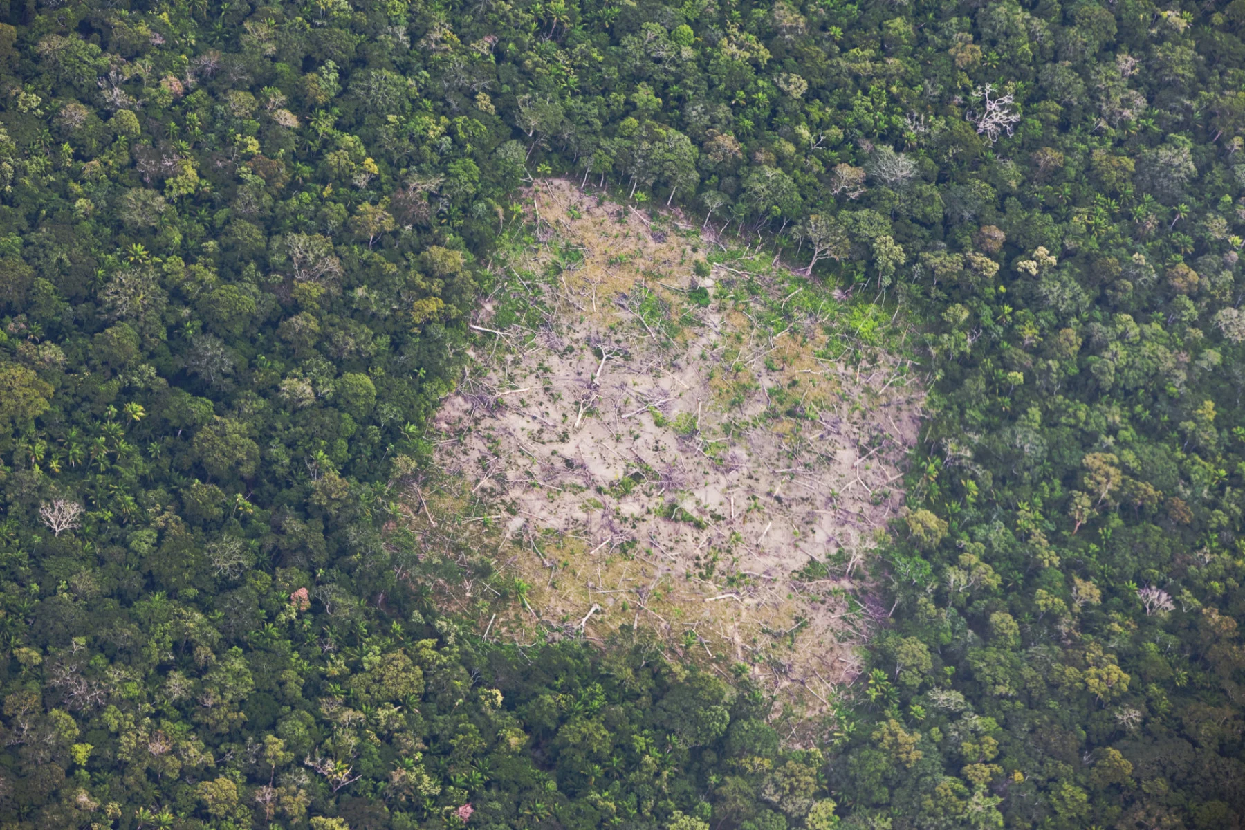 amazon rainforest destruction (Jami Tarris. Stone. Getty Images)
