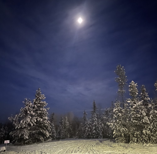Weather Network: nieve navideña en Columbia Británica, últimos días fríos peligrosos