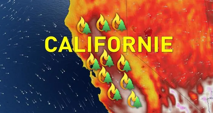 Californie : près de 6000 incendies de forêt