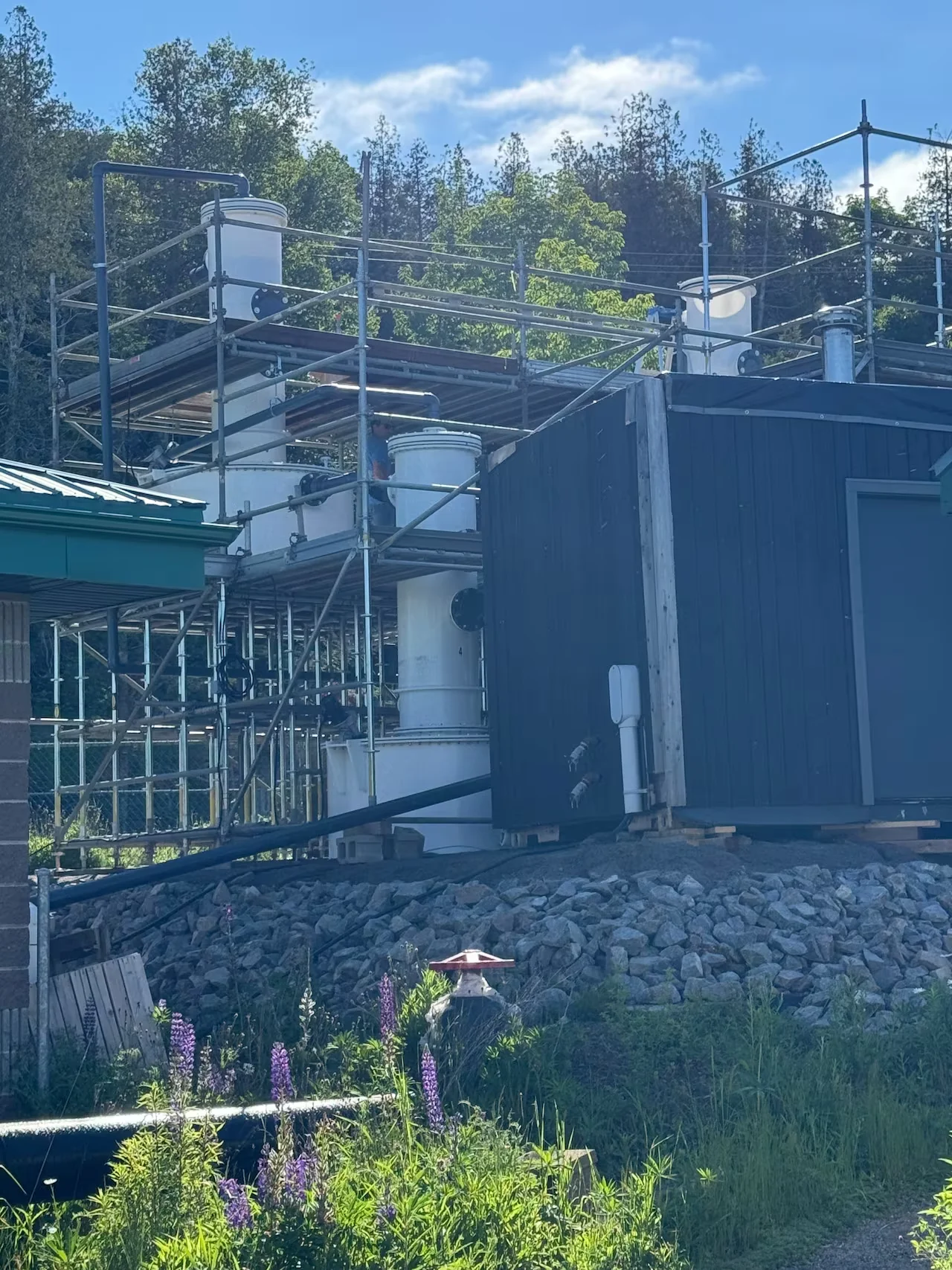 Tests will be run at the Huntsman Marine Science Centre. (CBC)