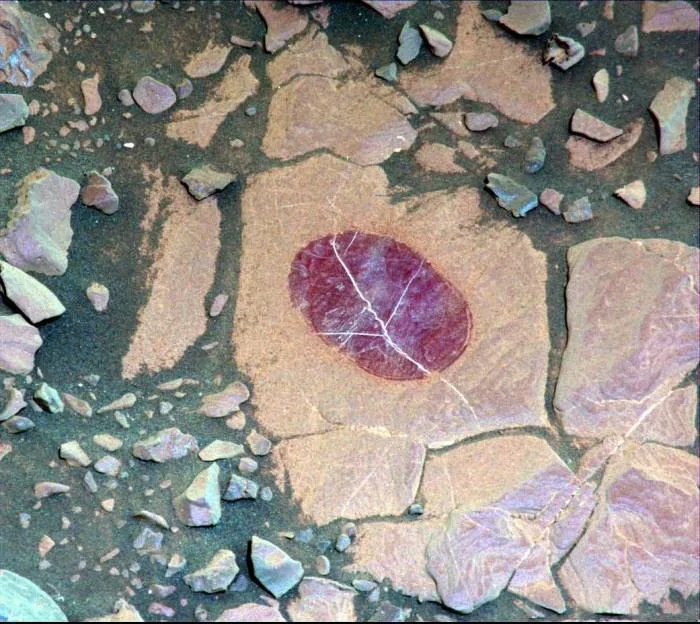 pia22066 0