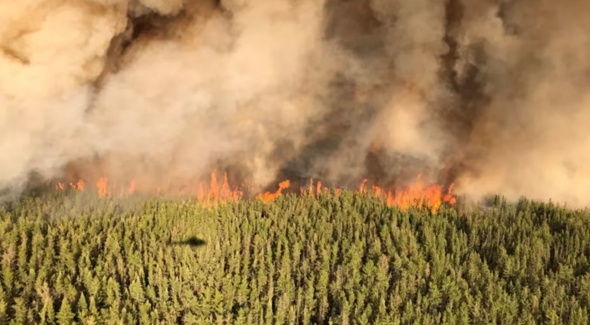 Alberta wildfire season is off to a blazing start, 57 fires burning The Weather Network