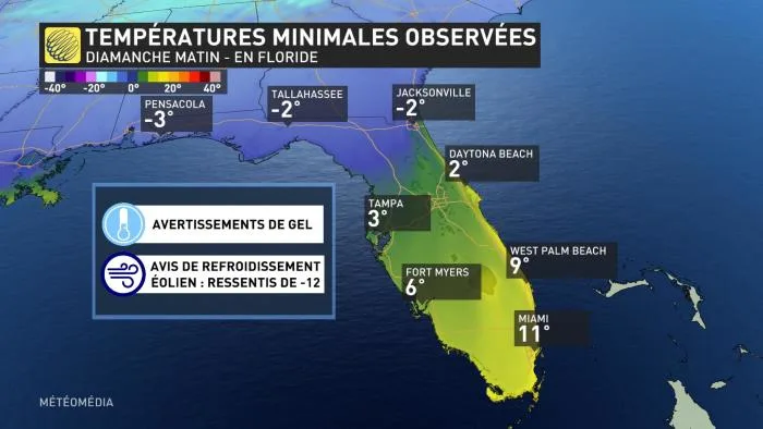 FLORIDE2