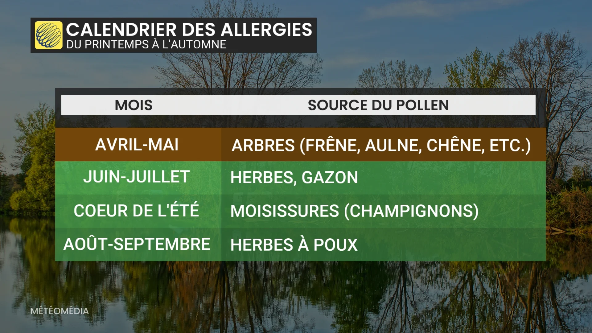 ALLERGIES