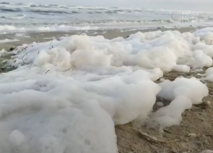 Une mousse toxique submerge des plages indiennes