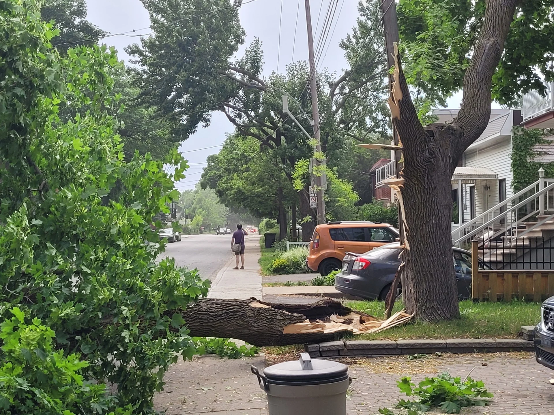 Risque d'orages, certains pourraient être violents