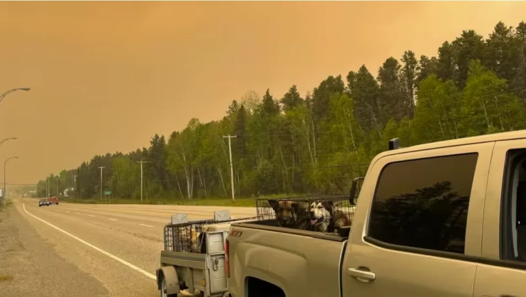 CBC: As fires blaze in Quebec, Val d'Or's residents are encouraged to stay indoors as the air quality is still considered very bad. (Courtesy of Henri Jacob)