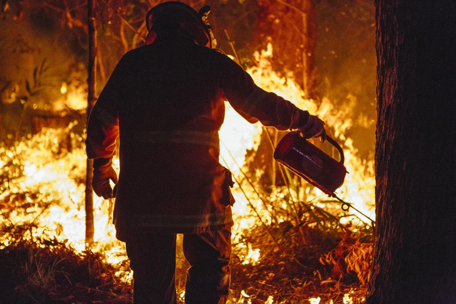 A firefighter conducting a controlled burn with a drip torch in Lower Beechmont, Australia. (Cavan Images/ Getty Images)