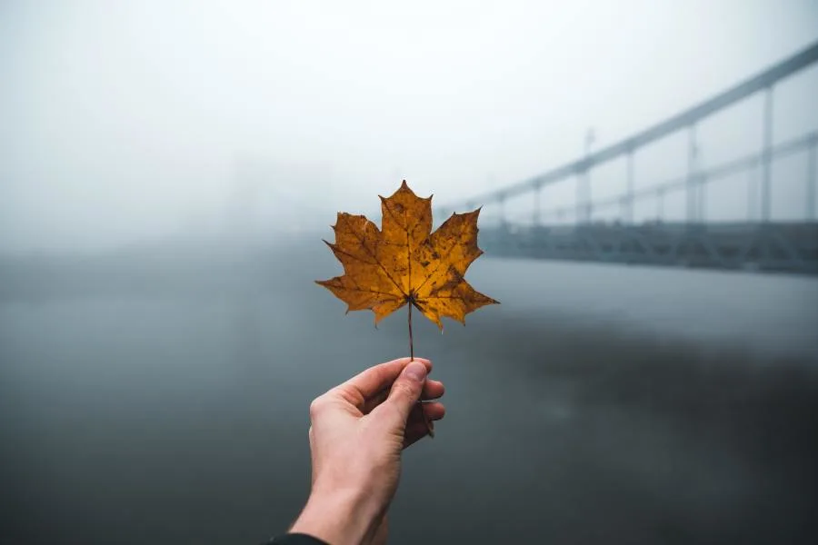 Il y aura une prolongation à cette fin de semaine idéale ! 