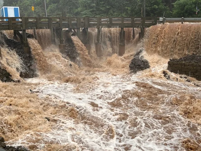 SUBMITTED: PHOTOS COURTESY Dick Killam taken July 11, 2024, in Halls Harbour, Nova Scotia