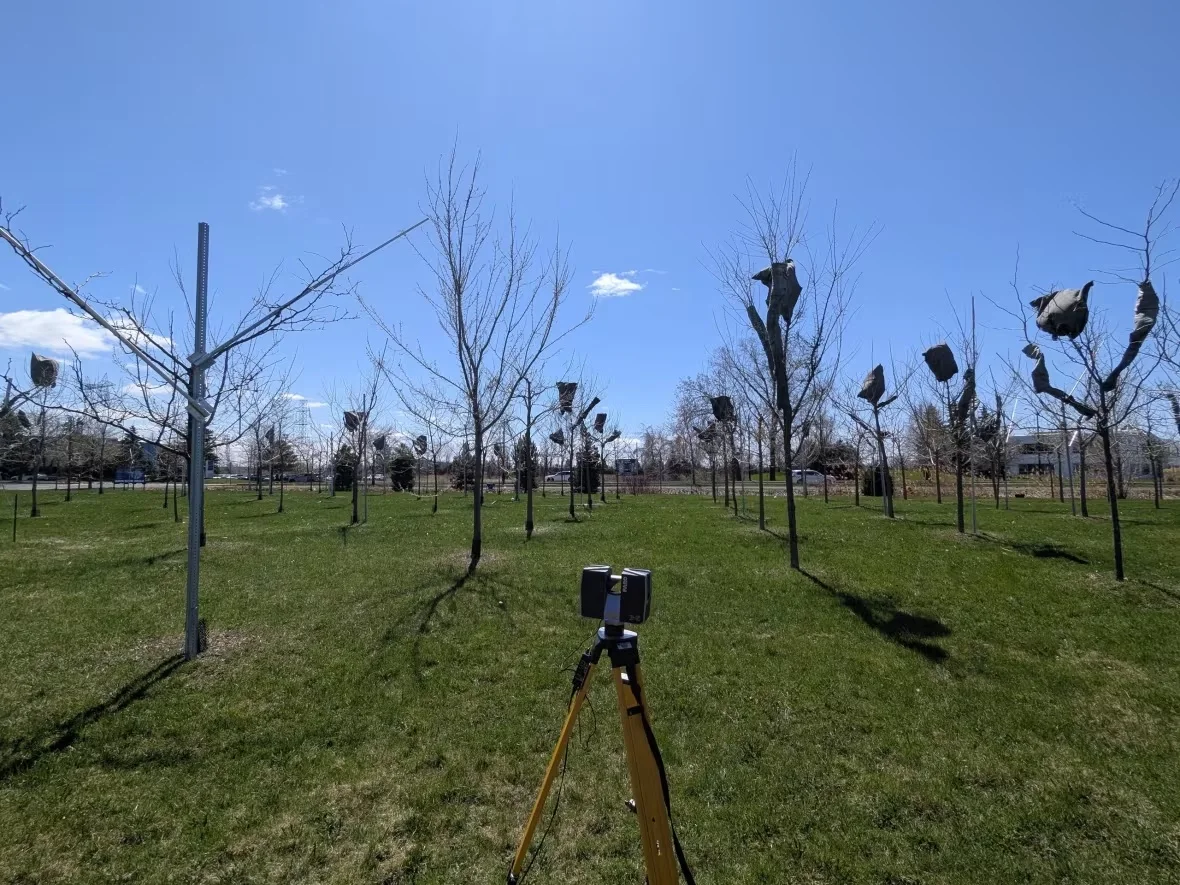 lidar-on-terrain-hq/Submitted by Loïc Charlebois-Vachon via CBC News