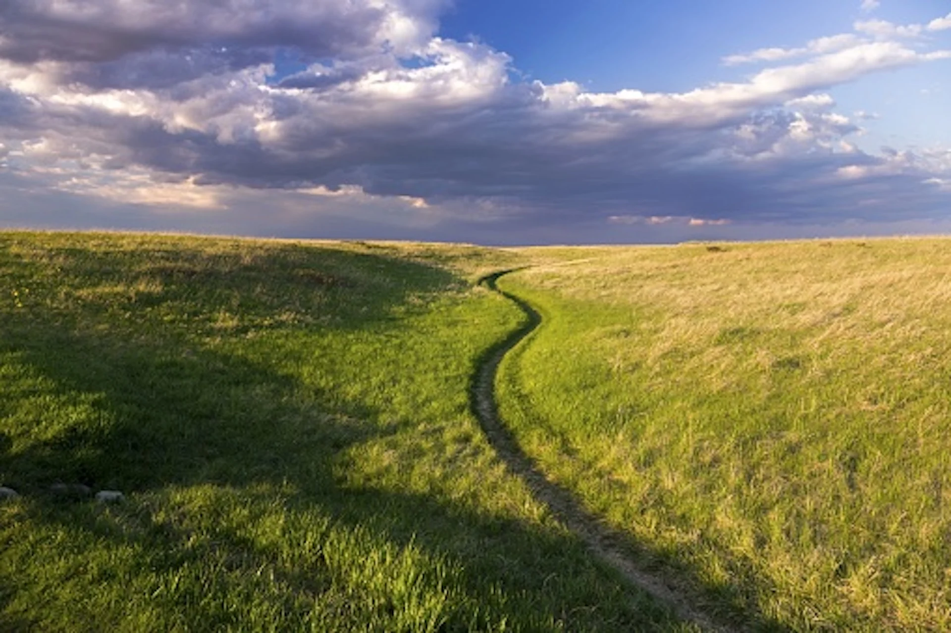 Grasslands/Getty Images/Autumn Sky Photography/962974532-170667