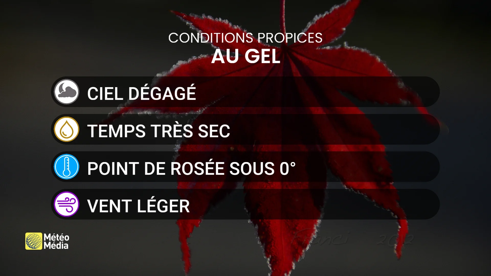 GEL3