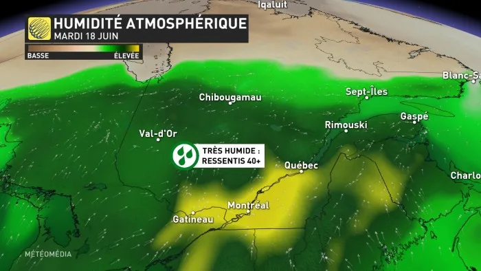 HUMIDITÉ3