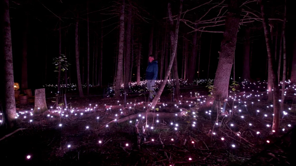 Credit: The Weather Network - Akadi Lumina