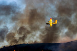B.C. residents urged prepare for 5th season: Wildfire season