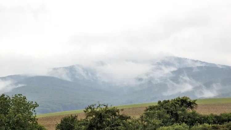 Cloud Atlas joins the digital age while adding a dozen new cloud types ...