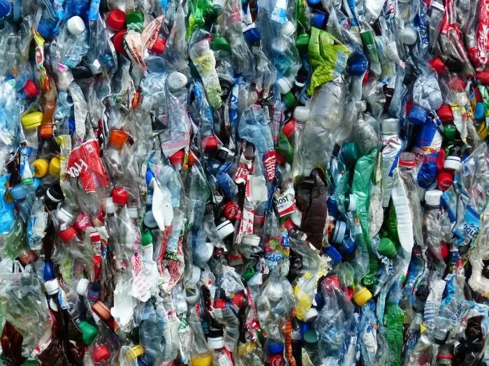 Des enzymes pour désintégrer le plastique plus rapidement