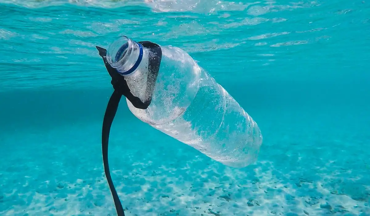 Des bactéries et virus habitent les déchets plastiques en Méditerranée