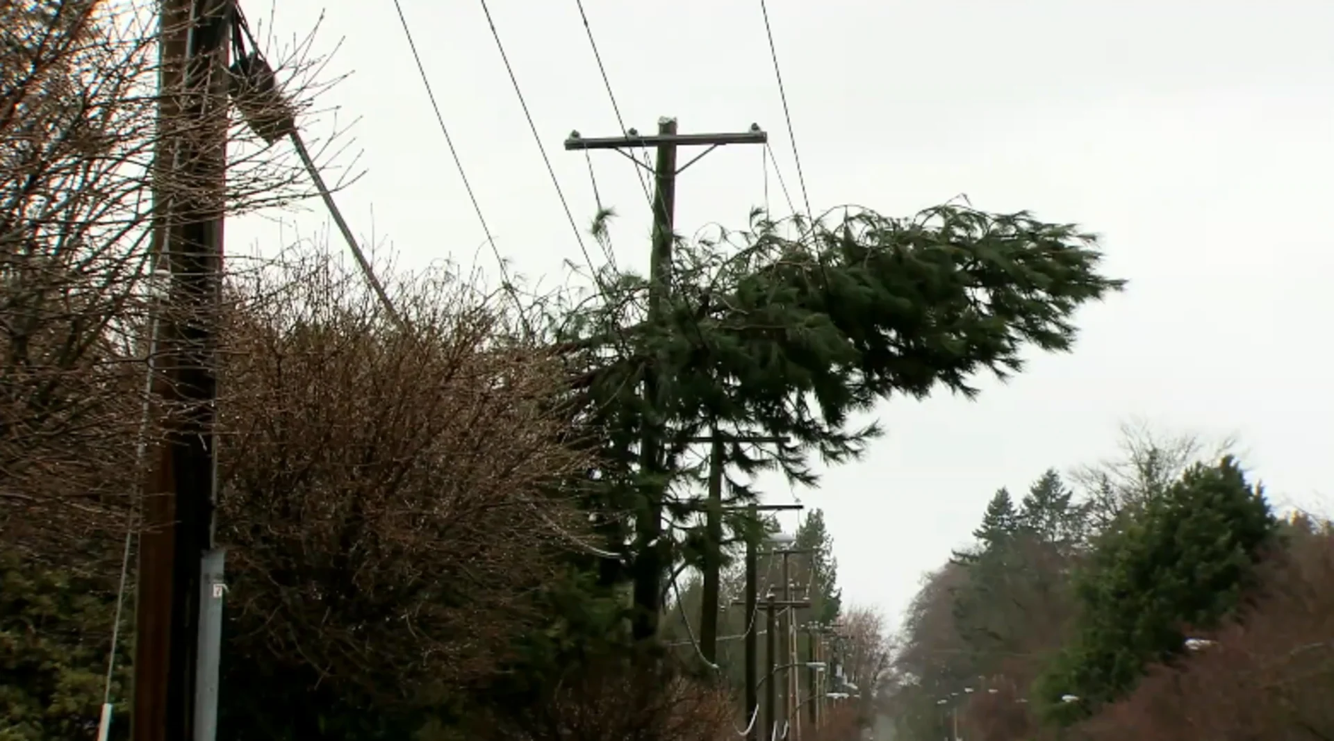 When thousands of Vancouver students stayed home due to a 'wind day'