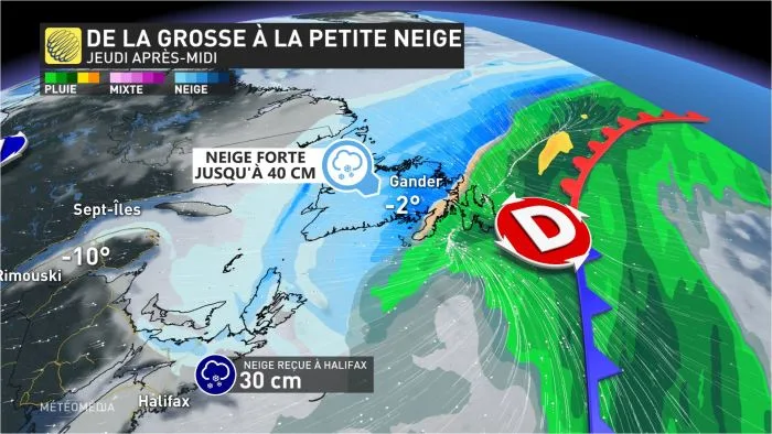 NEIGE1 (11)
