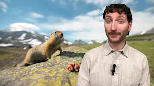 Printemps hâtif ou tardif? La marmotte risque de vous induire en erreur. Détails ici.