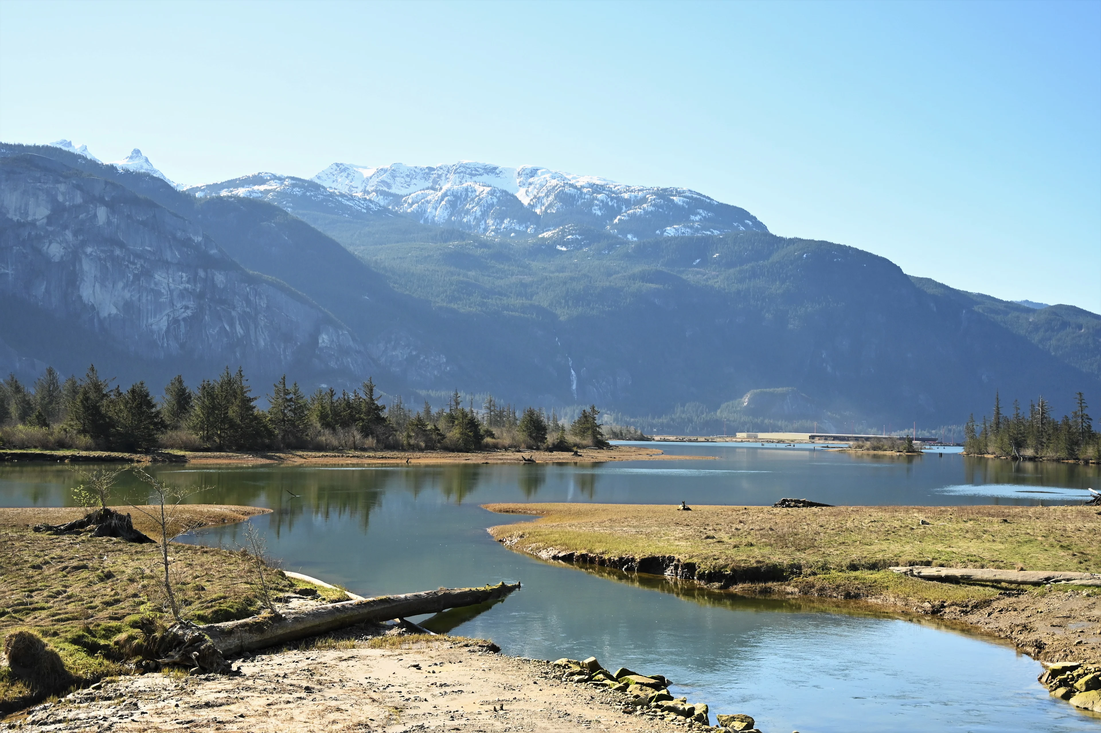 howe sound estuary Credit: mia gordon