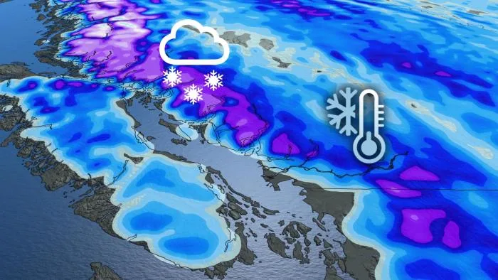 Puissante tempête hivernale : blizzard et quantité de neige record