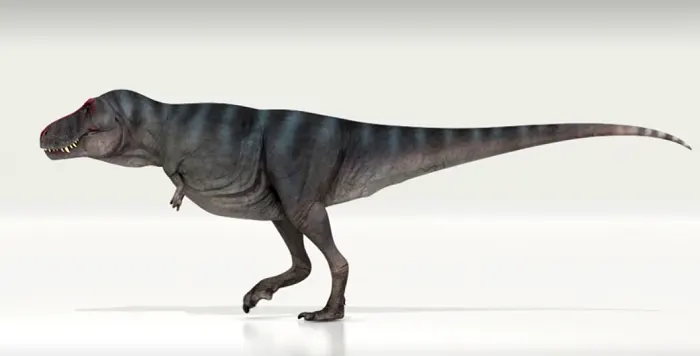 New study finds T. rex wasn't nearly as fast as depicted in movies