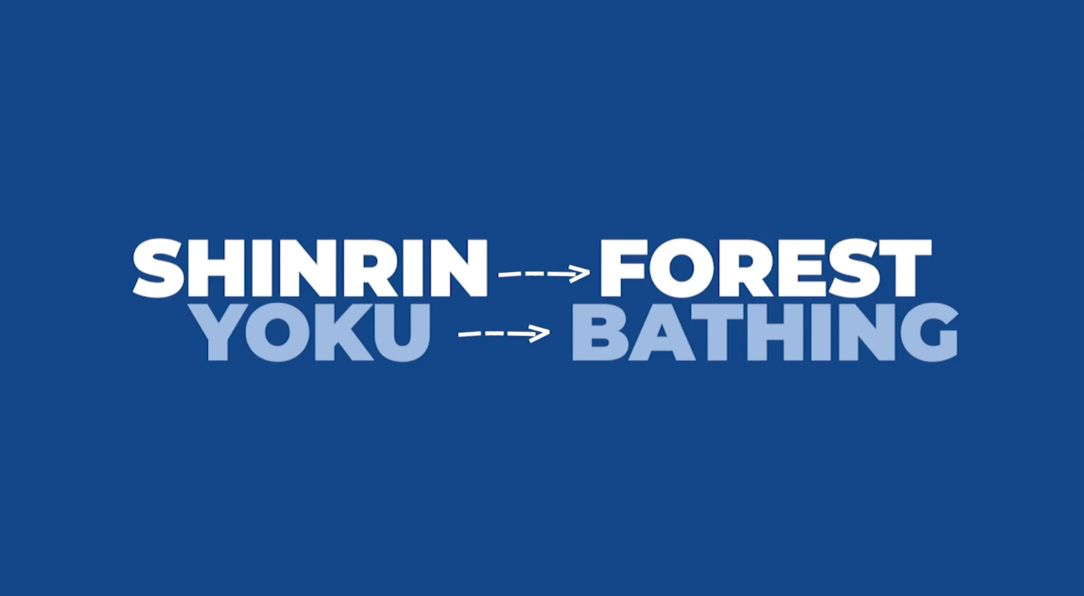 Forest Bathing translation Japanese to English