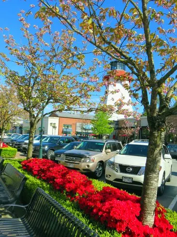 Records fall as B.C. soars into summer-like heat