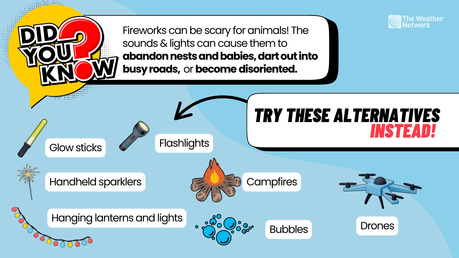 Firework safety graphic