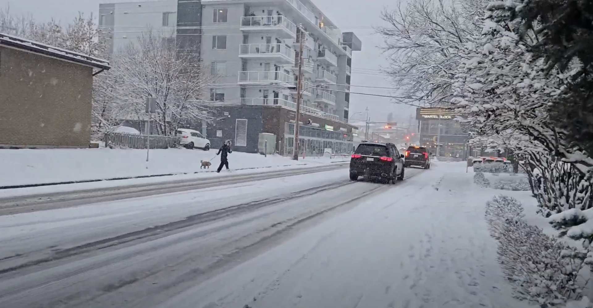 Connor O'Donovan: Calgary, Alberta snow, snowfall. November 18, 2024. (4)