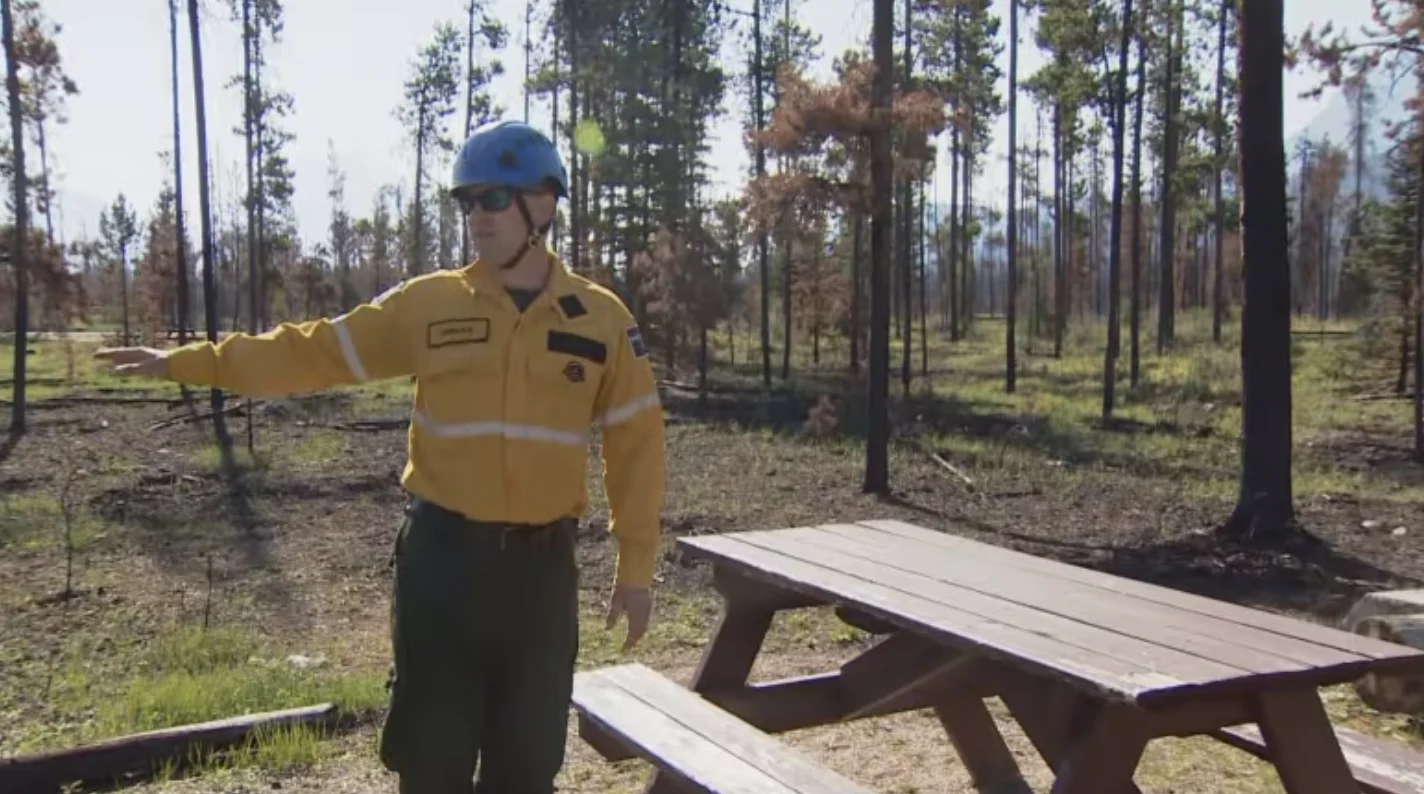 CBC: Landon Shepherd, a Parks Canada incident commander, showed members of the media around two campgrounds in Jasper National Park earlier this month, showing them how a wildfire ripped through the area in July. (Charles Delisle/CBC)