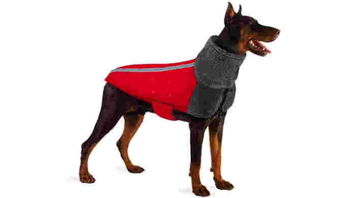 Dog Coat Amazon 22-01-25