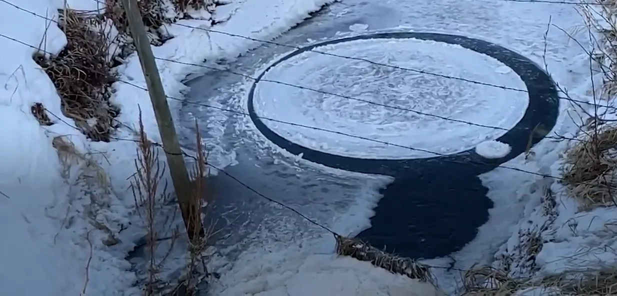 disque de glace