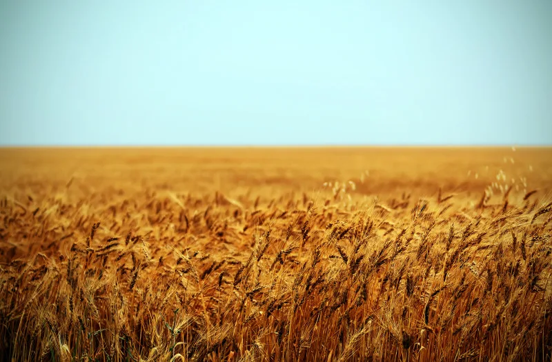 Digging into the drought: Why one massive Prairie rainstorm doesn't help