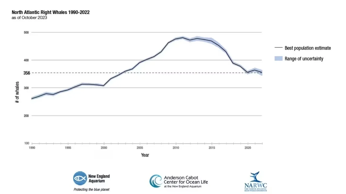 north-atlantic-right-whale-population-graph/New England Aquarium via CBC