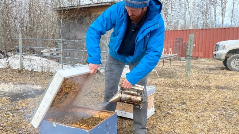 Major colony losses have Canadian beekeepers feeling spring sting