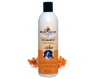 Amazon, Bee By The Sea Dog Shampoo, CANVA, Muddy Pets 2023