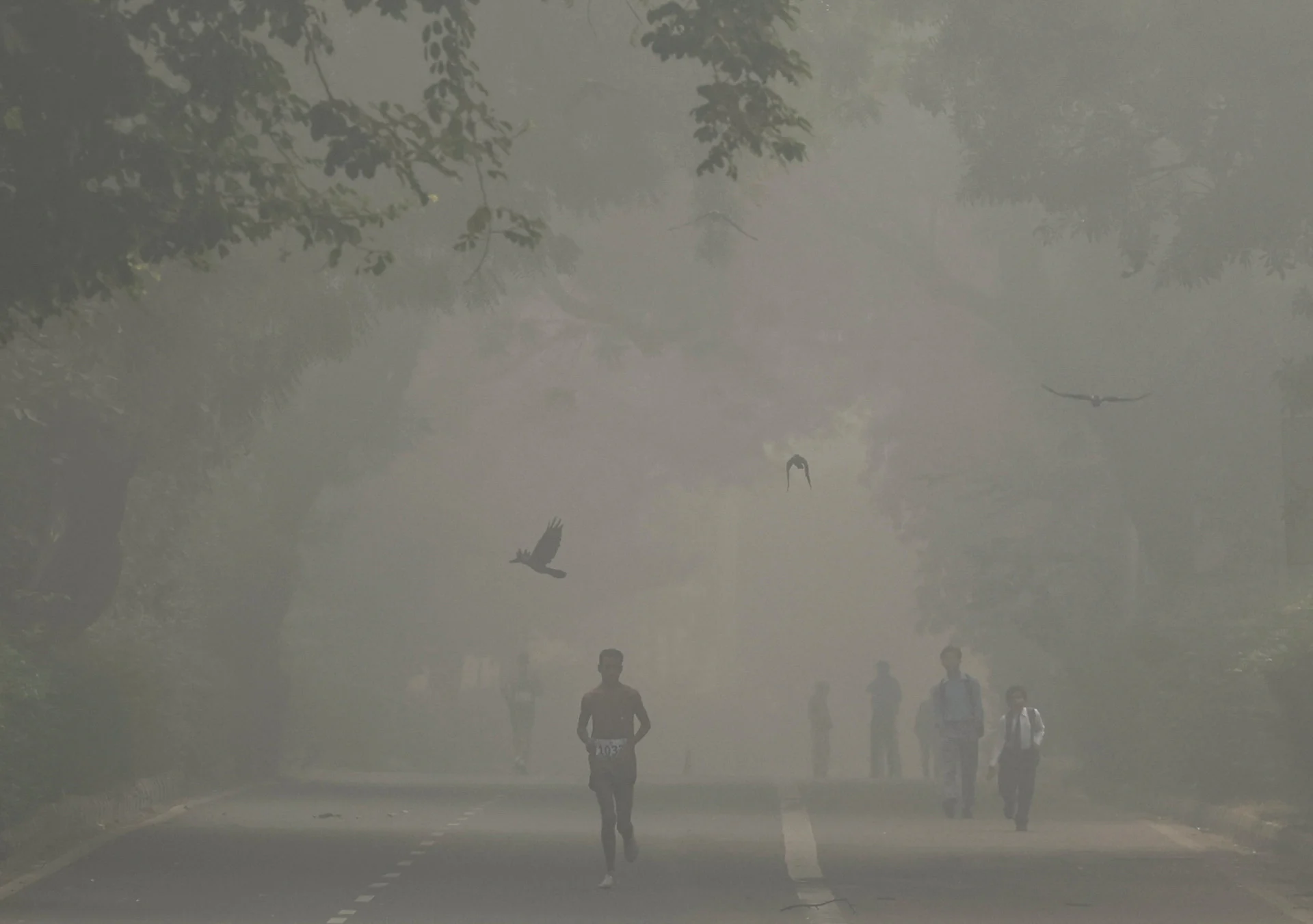 REUTERS: A man jogs as he participates in a marathon while the sky is enveloped with smog after Delhi’s air quality was classified as "hazardous" amidst severe air pollution, in New Delhi, India, November 14, 2024. REUTERS/Anushree Fadnavis TPX IMAGES OF THE DAY